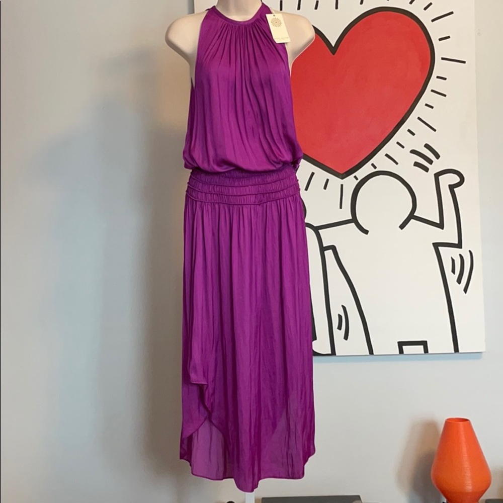 Rant Brook Audrey Midi Dress NWT - size: XS
